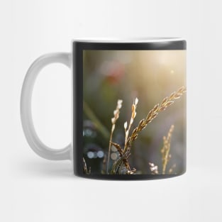 Sunset in a warm summer meadow Mug